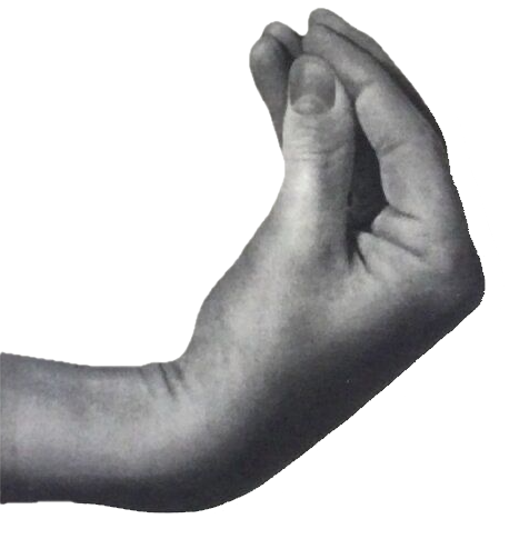 Vintage illustration of a hand making the classic Italian pinched-fingers gesture